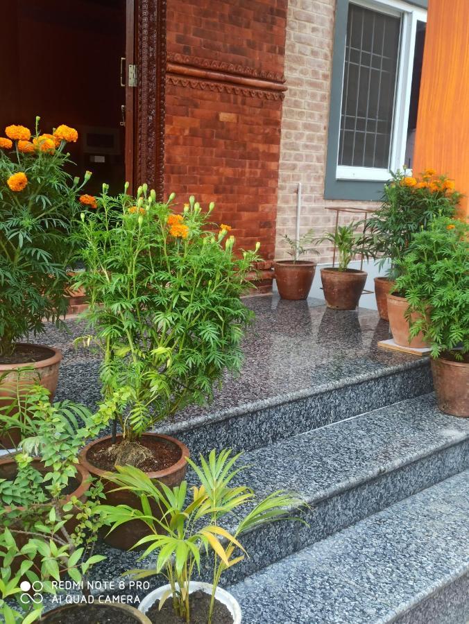 Hotel Namo Buddha Sauraha Dış mekan fotoğraf