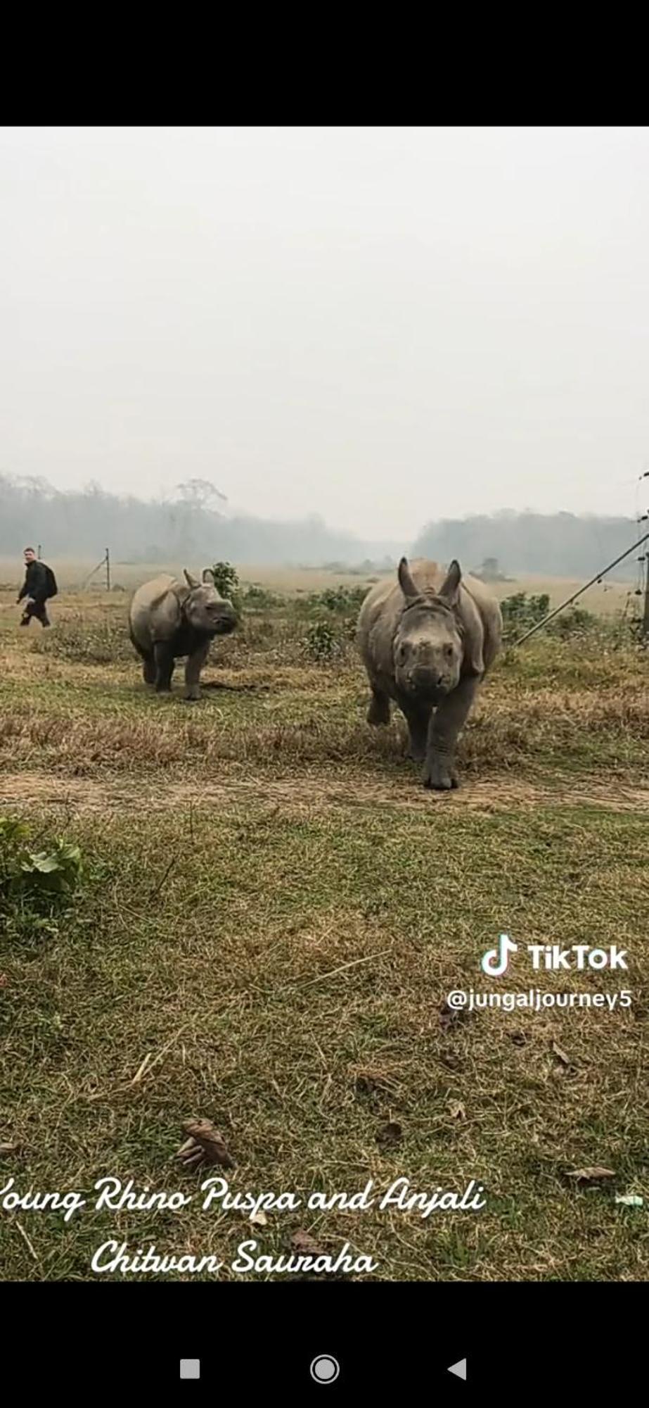 Hotel Namo Buddha Sauraha Dış mekan fotoğraf